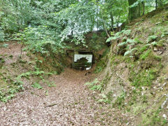 Gelligroes level quarry, August 2011